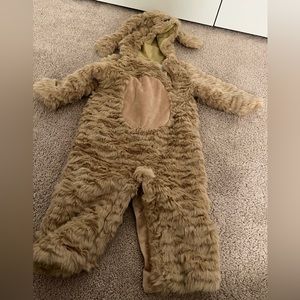 Pottery Barn Dog Costume Size 12-24